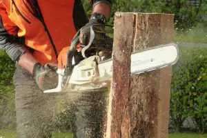 best chainsaw for cutting firewood uk