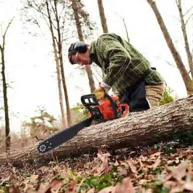 best value chainsaw