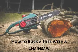 How to Buck a Tree With a Chainsaw