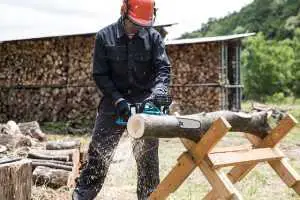 Best Petrol Chainsaw For The Money 4