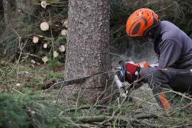 How To Use And Operate A Chainsaw Safely 1
