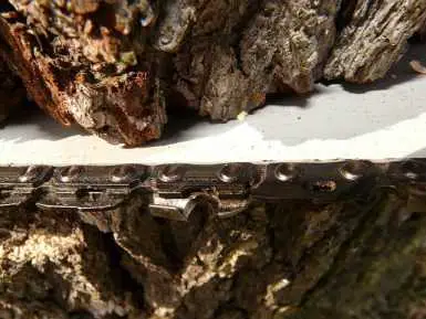How To Tell If A Chainsaw Chain Is Worn Out