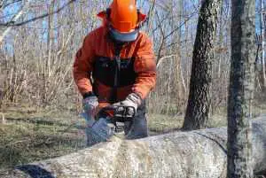 Cordless Chainsaws Review