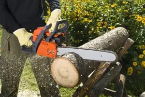 What Is The Most Preferable Size Of Chainsaw For Cutting Wood?