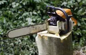 The Best Gas Chainsaws of 2020