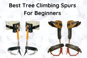Best Tree Climbing Spurs For Beginners