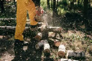 Free Chainsaw Safety Courses Online