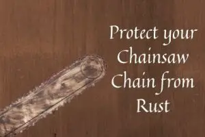 Protect your Chainsaw Chain from Rust